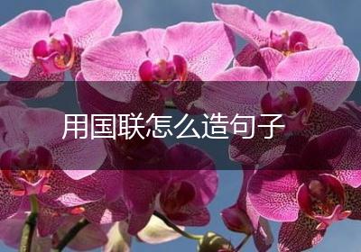 用国联怎么造句子
