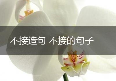 不接造句 不接的句子