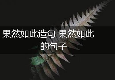 果然如此造句 果然如此的句子