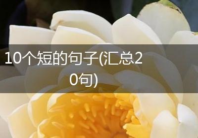 10个短的句子(汇总20句)