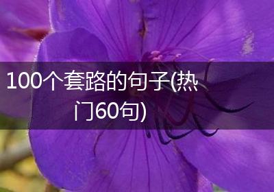 100个套路的句子(热门60句)