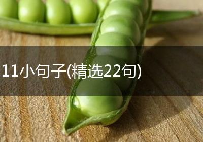 11小句子(精选22句)