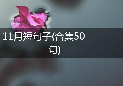 11月短句子(合集50句)