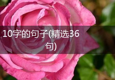 10字的句子(精选36句)