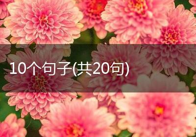 10个句子(共20句)
