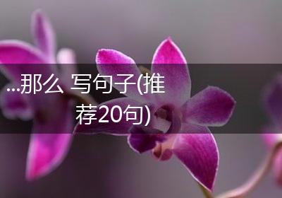 ...那么 写句子(推荐20句)