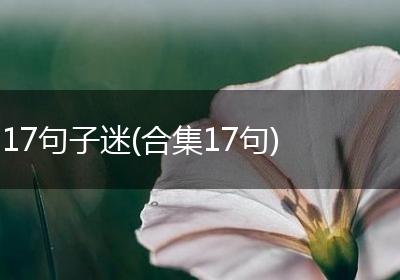 17句子迷(合集17句)