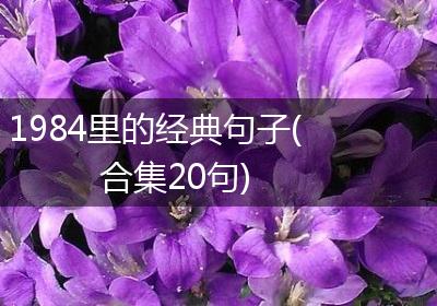 1984里的经典句子(合集20句)