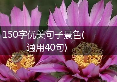 150字优美句子景色(通用40句)