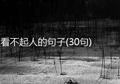看不起人的句子(30句)