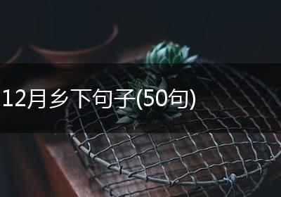12月乡下句子(50句)