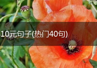 10元句子(热门40句)