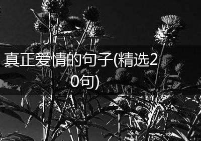 真正爱情的句子(精选20句)