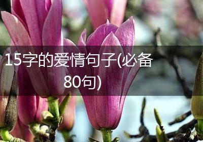 15字的爱情句子(必备80句)