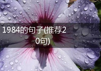 1984的句子(推荐20句)