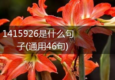 1415926是什么句子(通用46句)