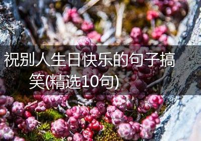 祝别人生日快乐的句子搞笑(精选10句)