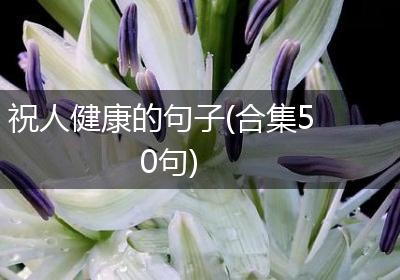 祝人健康的句子(合集50句)