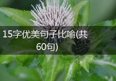 15字优美句子比喻(共60句)