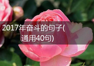 2017年奋斗的句子(通用40句)
