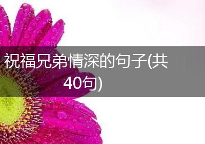 祝福兄弟情深的句子(共40句)