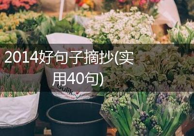 2014好句子摘抄(实用40句)