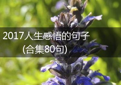 2017人生感悟的句子(合集80句)