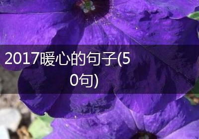 2017暖心的句子(50句)