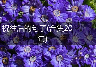 祝往后的句子(合集20句)