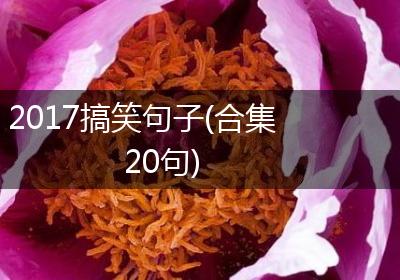 2017搞笑句子(合集20句)