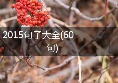 2015句子大全(60句)