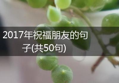 2017年祝福朋友的句子(共50句)