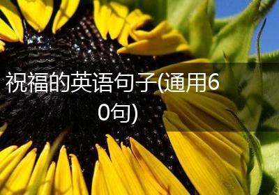 祝福的英语句子(通用60句)