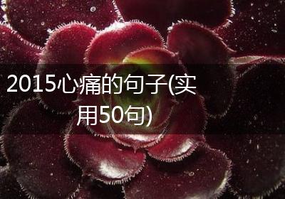 2015心痛的句子(实用50句)