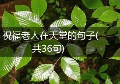 祝福老人在天堂的句子(共36句)
