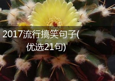 2017流行搞笑句子(优选21句)