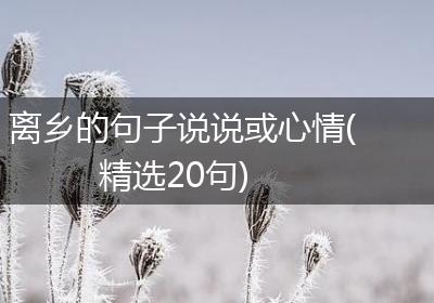 离乡的句子说说或心情(精选20句)