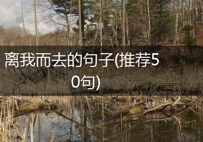 离我而去的句子(推荐50句)