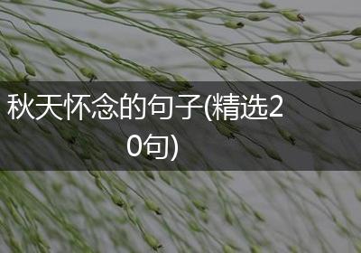 秋天怀念的句子(精选20句)