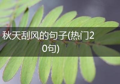 秋天刮风的句子(热门20句)