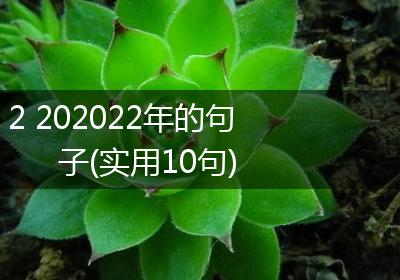 2 202022年的句子(实用10句)