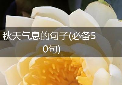 秋天气息的句子(必备50句)