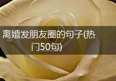 离婚发朋友圈的句子(热门50句)