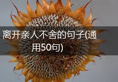 离开亲人不舍的句子(通用50句)