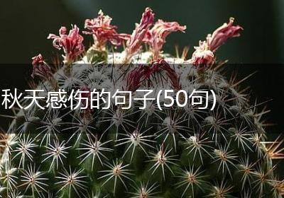 秋天感伤的句子(50句)
