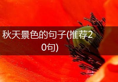 秋天景色的句子(推荐20句)