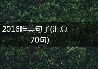 2016唯美句子(汇总70句)