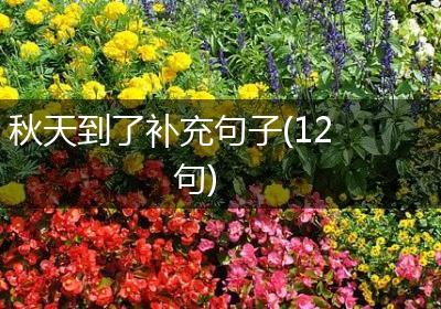 秋天到了补充句子(12句)