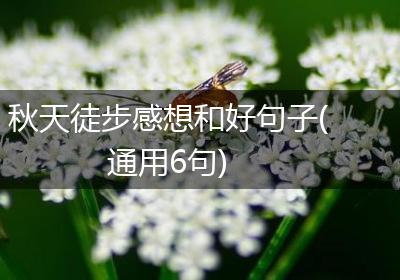 秋天徒步感想和好句子(通用6句)
