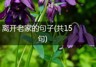 离开老家的句子(共15句)